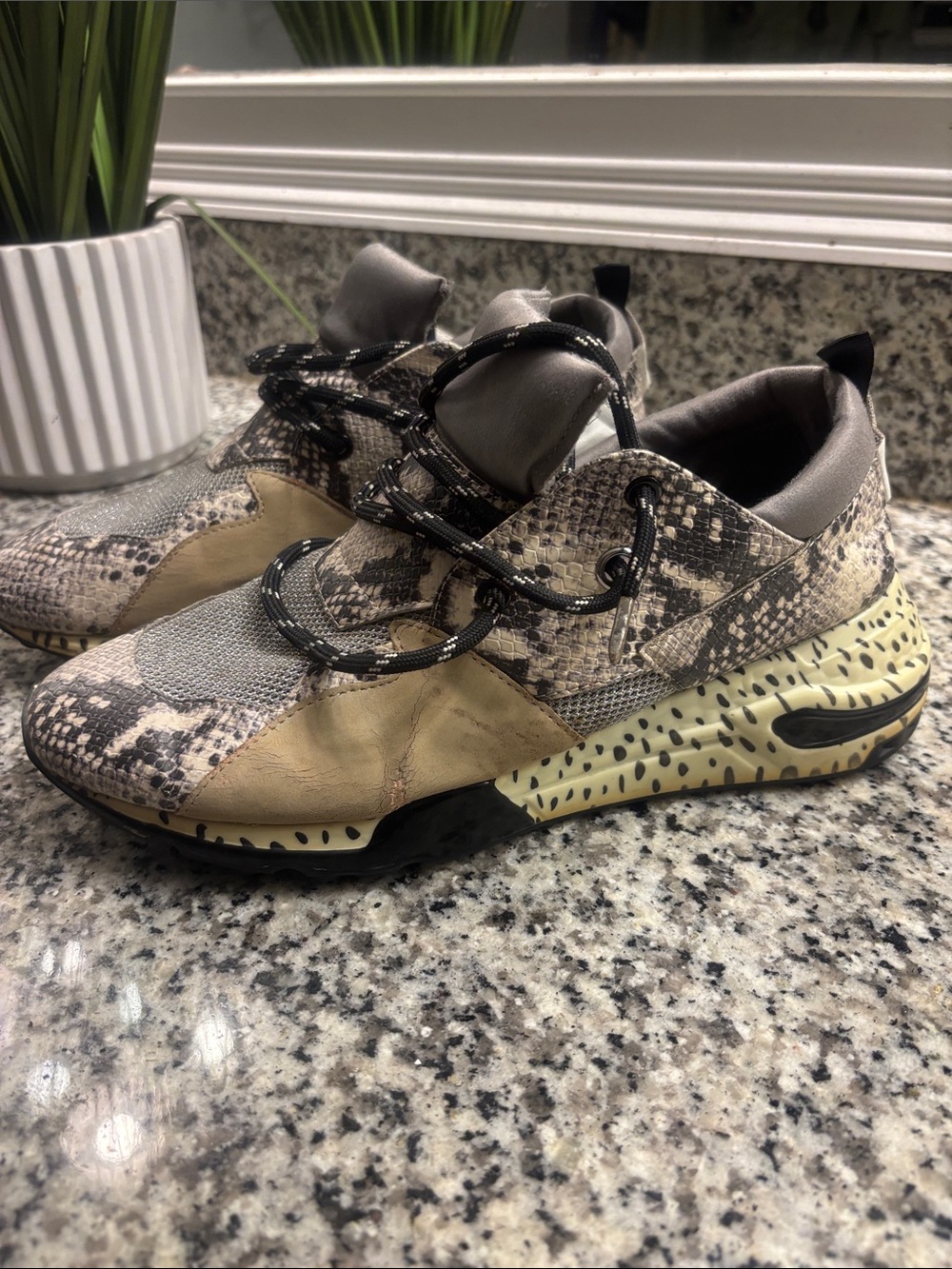 Steve Madden Women’s Snake Print Beige and Black Sneakers